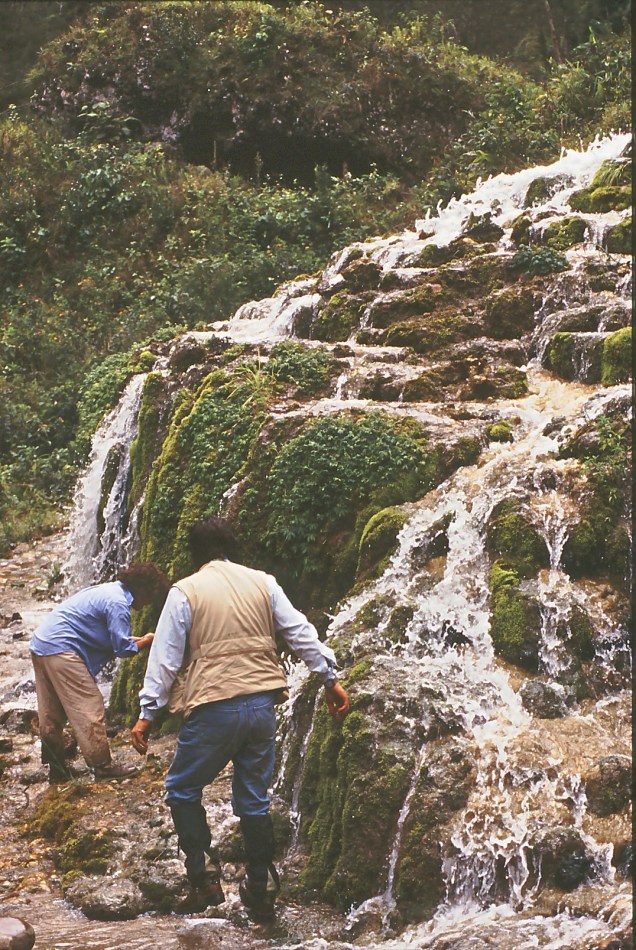 io e pepi alla fonte