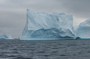 Antartica 10