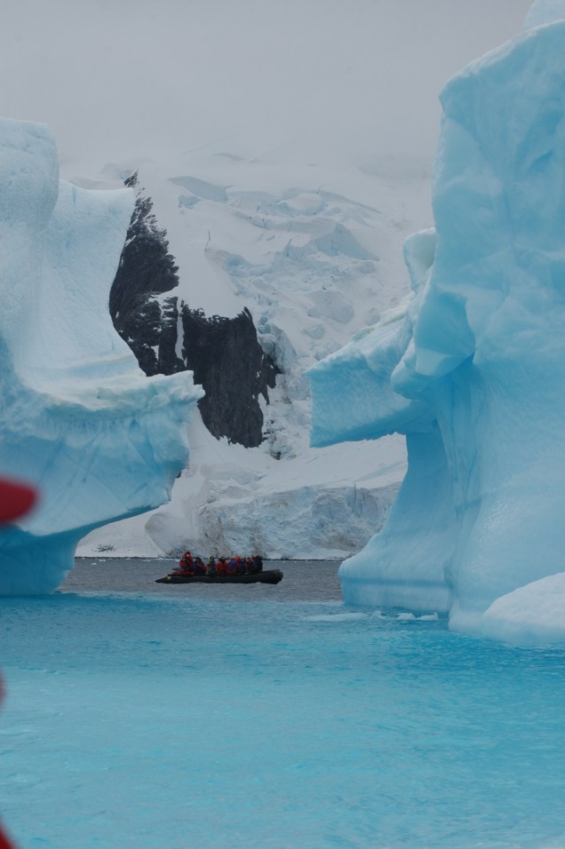 Antartica 12