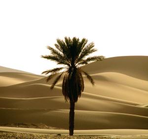 Marocco July 2012 302