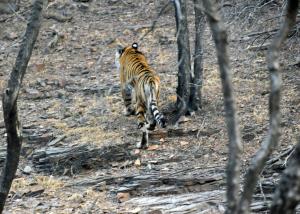 830472_3731885834253_1521067913_o