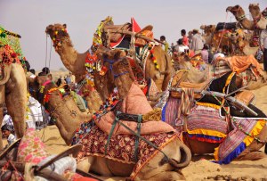 856575_3731852313415_421321086_o