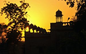 857869_3731843433193_1300684837_o