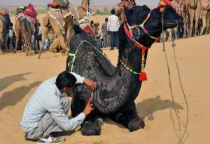 858020_3731854633473_249023750_o