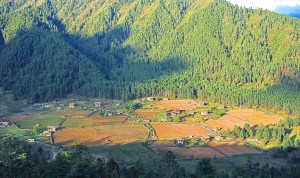 980313_4070750305653_1689641273_o