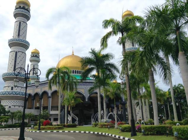 14705786_10205444363787059_2970723834250128594_n